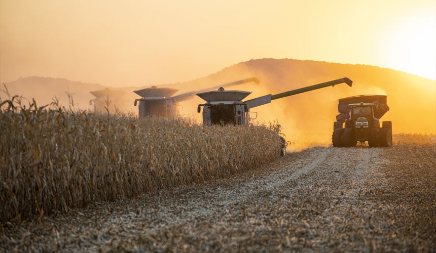 Opona Maxi Traction Harvest sprawdzi się podczas zbioru kukurydzy