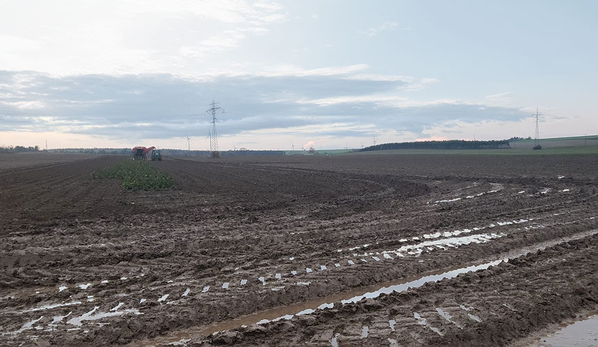 Przy mokrej pogodzie gliniaste gleby szybko zamieniają się w błoto