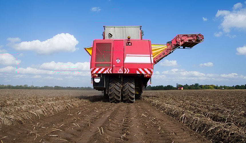 Opony Maxi traction Harvest zastosowane w kombajnie ziemniaczanym umożliwiają zmniejszenie ciśnienia powietrza podczas pracy z obciążeniem 